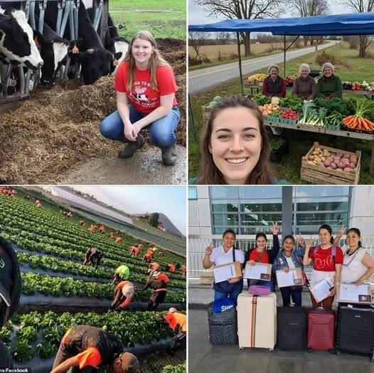 Farm Jobs in Switzerland with Visa Sponsorship 2026
